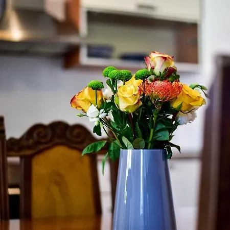 Apartment Inka And Comfy